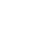 assets/media/shield-1.png